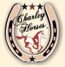 Charley Horses Stick Horses